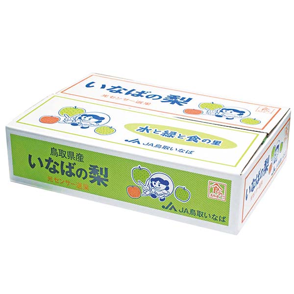 鳥取県産(JA鳥取いなば)いなばの二十世紀梨 赤秀5kg 3L14玉または4L12玉【お届け期間:8月26日〜9月25日】【梨ギフト】【NN】　商品画像1