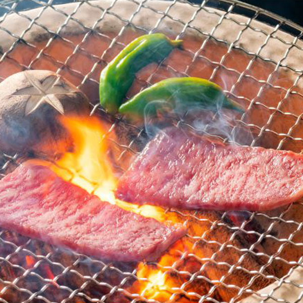 岐阜県産 飛騨牛焼肉の宴セット 600g【お届け期間：12月26日〜12月30日】【年末年始ごちそう特集】　商品画像1