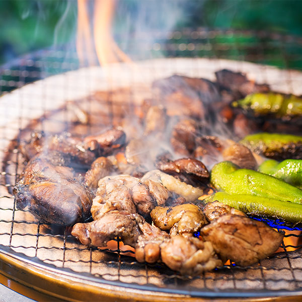 阿波尾鶏 炭火焼き 800g(100g×8袋)【ブラックフライデー】　商品画像1