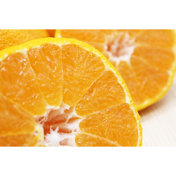 鹿児島県産 大将季 3kg【限定100点】【お届け期間:12月20日〜12月28日】【イオンゴールドカード会員さま限定特別セール12月】 商品画像1