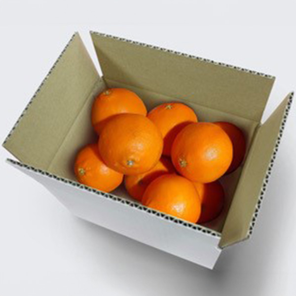 愛媛県産(JAえひめ中央) あいか 1.5kg ご家庭用 バラ詰め【限定400点】【お届け期間:12月20日〜12月28日】【イオンゴールドカード会員さま限定特別セール12月】 商品画像1