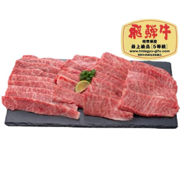 岐阜県産 飛騨牛もも焼肉用(5等級・冷凍)600g【限定50点】 【お届け期間：12/28(土)〜12/30(月)】【年末年始ごちそう特集】【ふるさとの味・東海】　商品画像1