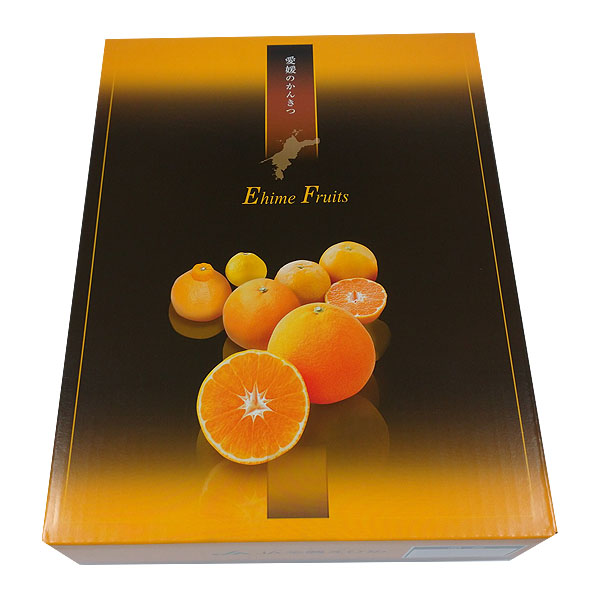 愛媛県産(JA全農えひめ) せとか 1.7kg 青秀3L 6個 【限定100点】【お届け期間:3月1日〜3月15日】【イオンゴールドカード会員さま限定特別セール2月】 商品画像1