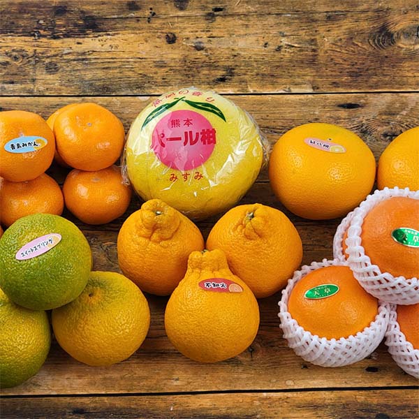 熊本県産 柑橘セット 4kg【お届け期間：2月20日〜3月10日】【お買い得セール2月】　商品画像1