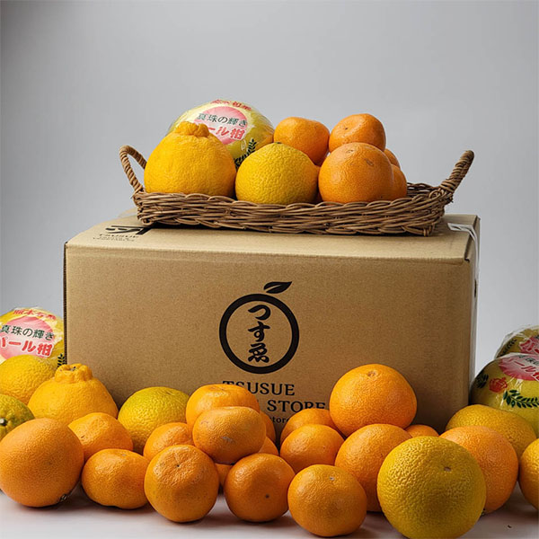 熊本県産 柑橘セット 7.5kg【お届け期間：2月20日〜3月10日】【お買い得セール2月】　商品画像1