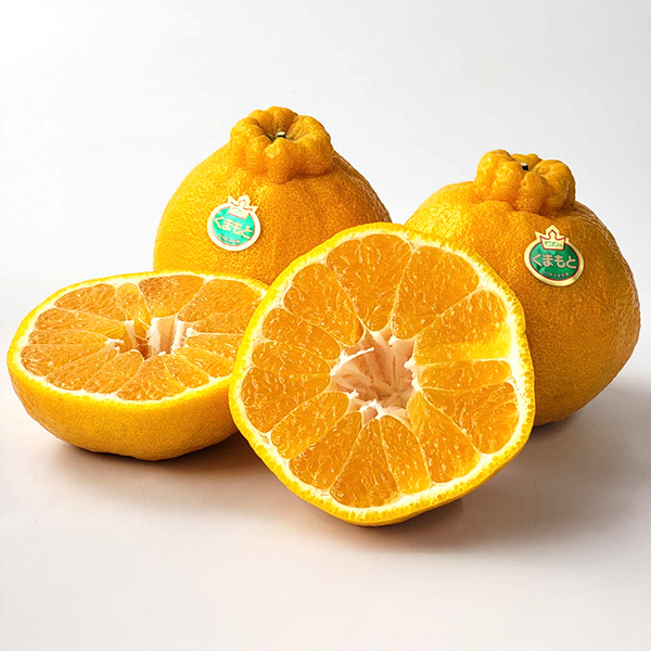 熊本県産 デコポン 2kg【お届け期間：2月14日〜2月28日】【九州フェア】　商品画像1