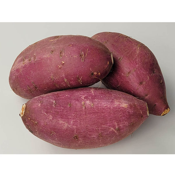 熊本県産 西原シルク(シルクスイート) 5kg【お届け期間：2月14日〜2月28日】【九州フェア】　商品画像1