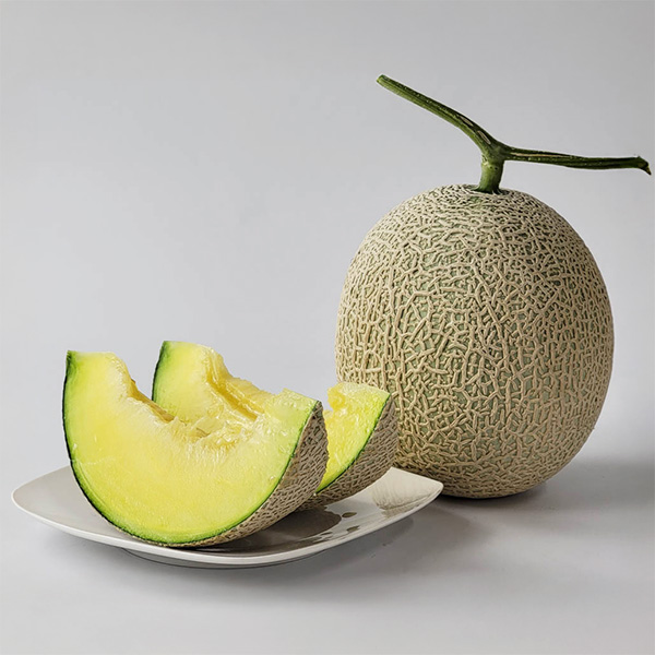 熊本県産 アールスメロン 1玉【お届け期間:3月1日〜3月25日】【イオンゴールドカード会員さま限定特別セール2月】 商品画像1