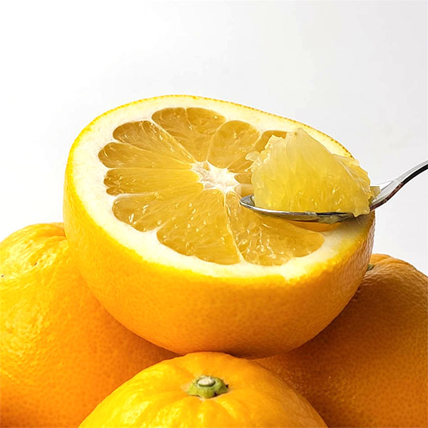 熊本県産 河内晩柑(ジューシーオレンジ) 5kg【お届け期間:3月1日〜3月25日】【イオンゴールドカード会員さま限定特別セール2月】 商品画像1