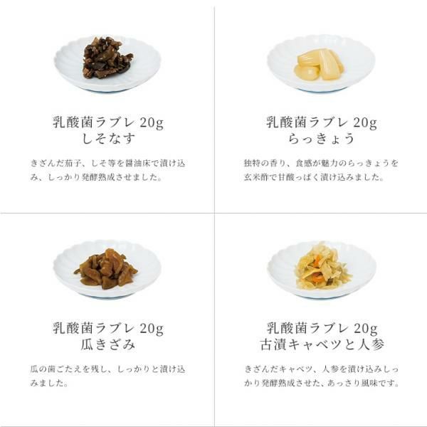 京つけもの西利 乳酸菌ラブレ20g20日間セットNLP-39 古漬キャベツと人参、すぐきかぶらきざみ 他【京の伝統】【手土産】 【紙袋あり】【包装あり】【旬の味覚便】【NN】　商品画像1