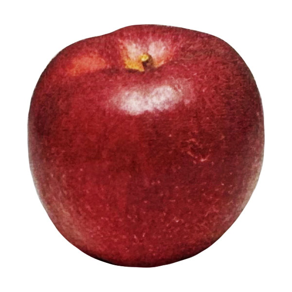 青森県産りんご 完美明秋 2kg【お届け期間：3月20日〜4月3日】【Ａセレクション3月】　商品画像1