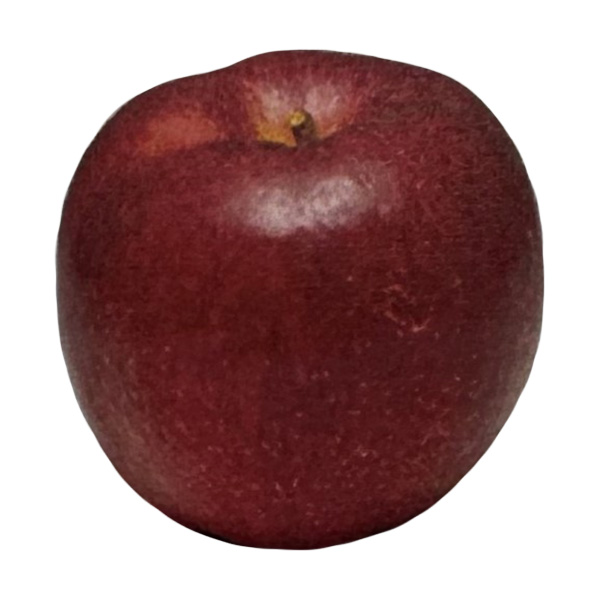 青森県産りんご 明秋 ご自宅用 2kg【お届け期間：3月20日〜4月3日】【Ａセレクション3月】　商品画像1