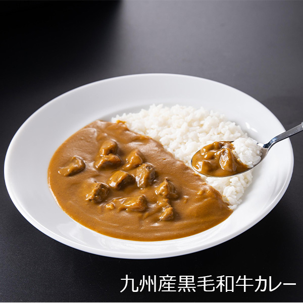 九州を味わうレトルト詰め合せセット 博多和牛とはかたもち豚の粗挽きボロネーゼ、佐賀牛スパイスカレー、焼肉すき焼き純監修九州産黒毛和牛カレー、焼肉すき焼き純監修ユッケジャンスープ×5【NN】　商品画像1