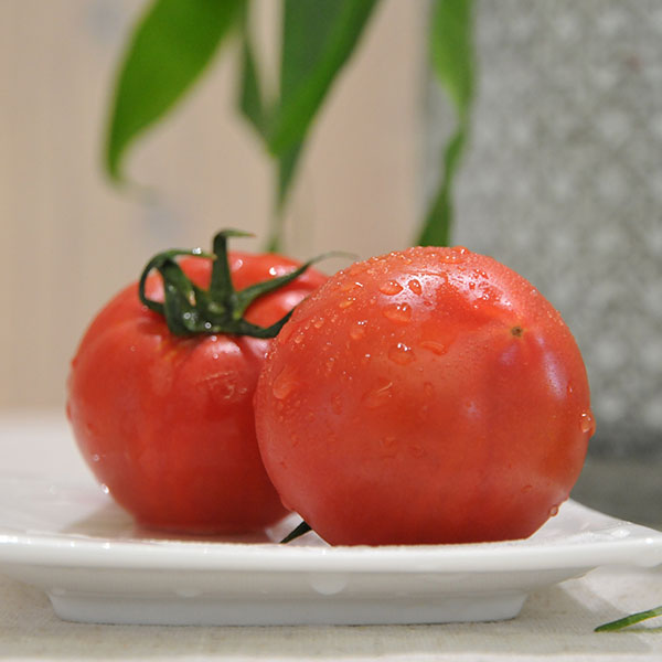 徳島県産(樫山農園) あまベリー トマト「ももりこ」 1箱【限定100点】【お届け期間：4月17日〜5月17日】【Ａセレクション4月】　商品画像1