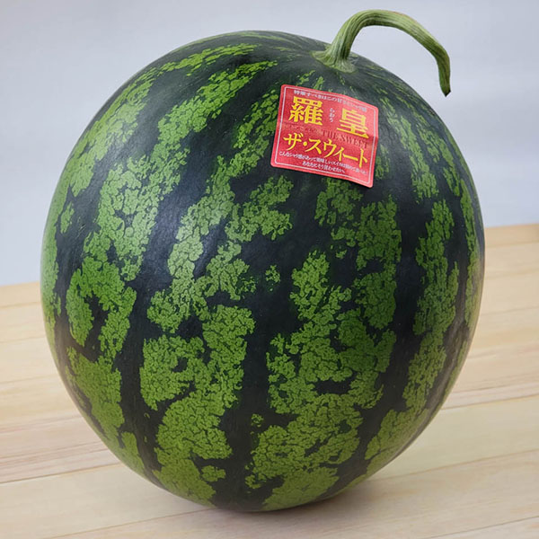 熊本県産 すいか 羅皇・ザ・スウィート(タネフリー) 4L〜2Lサイズ 1玉【お届け期間：5月18日〜6月15日】【おいしいお取り寄せ】　商品画像1