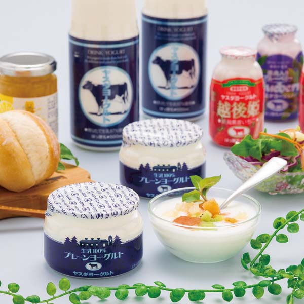 新潟 ヤスダヨーグルトギフト G2455【お届け期間】2025/11/10‐2026/01/10【冬の贈りもの・お歳暮】【KN】　商品画像1
