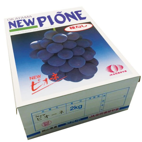 岡山県産 ピオーネ 計2kg以上・4房入り【お届け期間:9月1日〜10月10日】【NN】　商品画像1