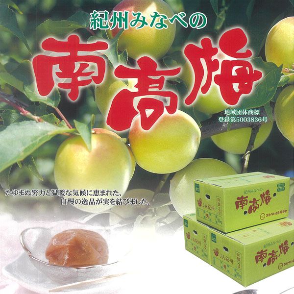 和歌山県産JAわかやま(紀州地域本部) 南高梅 秀2L 3kg 1箱【お届け期間:6/12(金)〜6/21(日)】【CB】　商品画像1