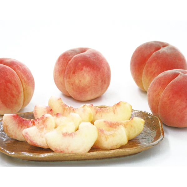 福島県産 飯坂の白桃 秀品 5〜8個 1.8kg以上 (品種:川中島白桃、ゆうぞら、さくら、他) 【お届け期間:8/15(金)〜9/15(月)】【MK】　商品画像1