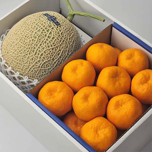 熊本県産 果物詰合せ 夢未来ハウスミカン＆アールスメロン 1玉
