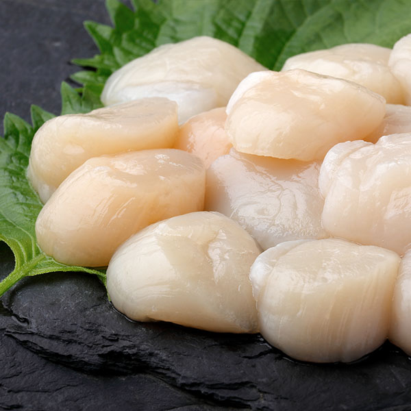 北海道オホーツク海産 カネコメ田中水産 刺身用ほたて貝柱 500g【お届け期間：8月8日〜8月12日】【お盆ごちそう特集】　商品画像1