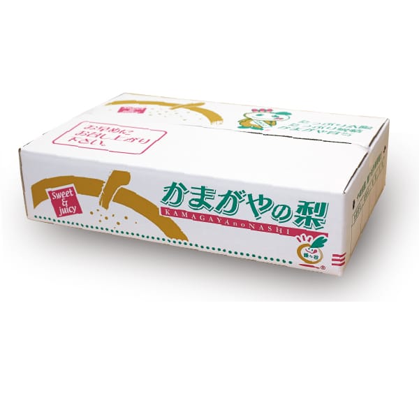 千葉県鎌ケ谷産 甘太 3kg6・7・8・9・10玉【限定50点】【お届け期間:9/5(土)〜10/5(月)】【MK】　商品画像1