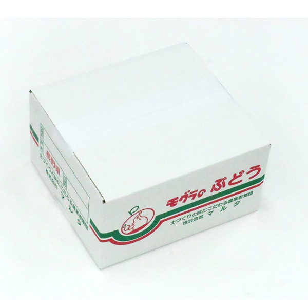 長野県産 伊藤さん達のシャインマスカット 秀品 1kg【お届け期間：9月1日〜10月20日】【超！ナツ夏祭り】　商品画像1