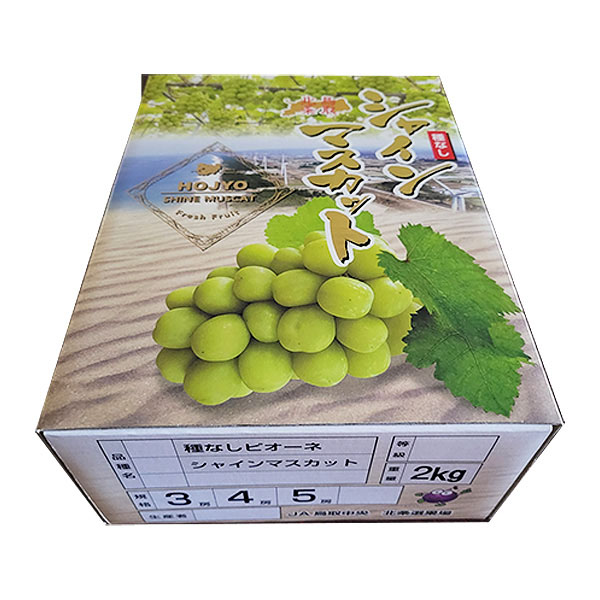鳥取県産(JA鳥取中央)ぶどう(シャインマスカット)化粧箱 2kg3房