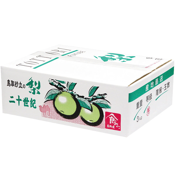 鳥取県産 かわとね園さんの二十世紀梨 赤秀3kg 3L8玉または4L7玉【お届け期間:9月1日〜9月20日】【梨ギフト】【NN】　商品画像1