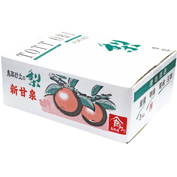 鳥取県産 かわとね園さんの新甘泉梨 赤秀3kg 3L8玉または4L7玉【お届け期間:8月23日〜9月10日】【梨ギフト】【NN】　商品画像1