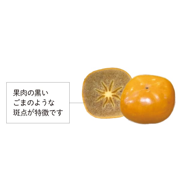 新潟県産 佐渡市、JA佐渡羽茂地区 JA佐渡・羽茂の大平核無柿6個(1.8kg 6個)【お届け期間:11月21日〜12月5日】【KN】　商品画像1