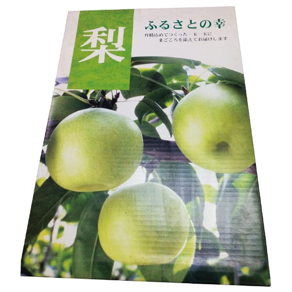 鳥取県産 鳥取のなつひめ梨 赤秀2.2kg 6玉または7玉または8玉【お届け期間:8月20日〜9月5日】【梨ギフト】【NN】　商品画像1