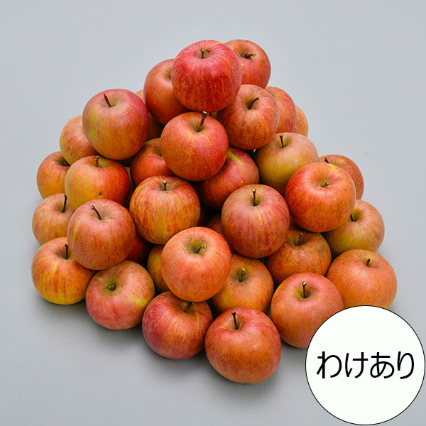 信州産りんご(サンフジ)キズ有り小玉箱込み約9kg2段　　計約19kg 信州産りんご(サンフジ)キズ有り小玉箱込み約9kg2段 計約19kg