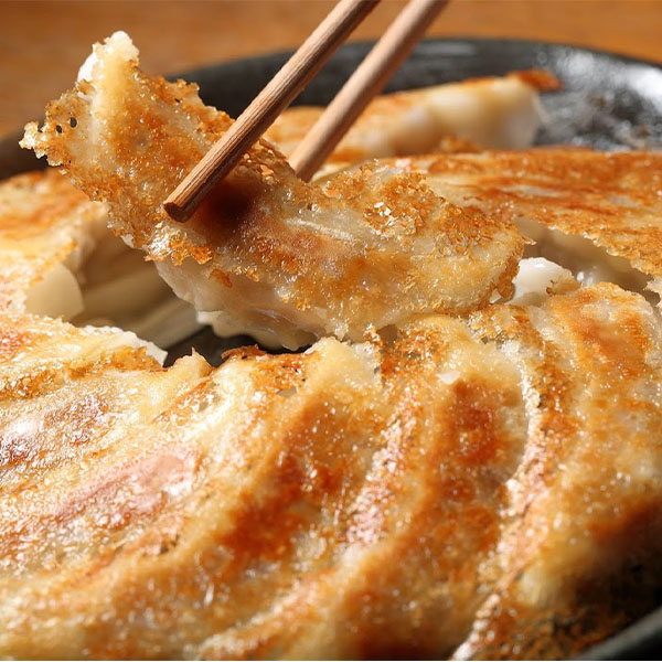 大阪 原田屋 生餃子100個 生餃子(17g×20)×5、餃子のたれ10g×10【NN】　商品画像1