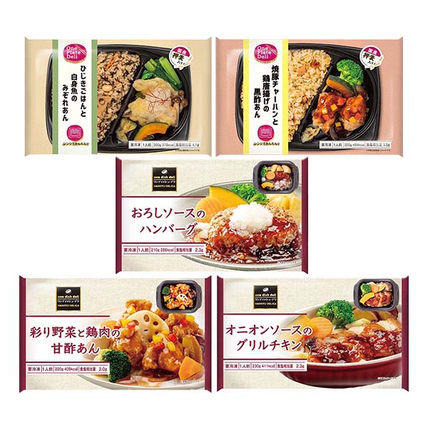 阪急デリカ ワンプレート・デリ2種とワンディッシュ・デリ3種のセットB【＠FROZEN】　商品画像1