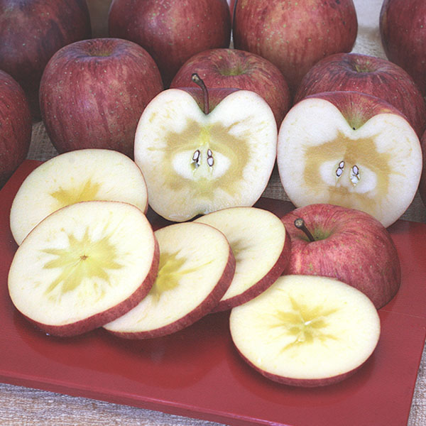 山形県産 サンふじりんご 蜜入り保証  2kg【お届け期間：11月20日〜12月31日】【おいしいお取り寄せ】　商品画像1