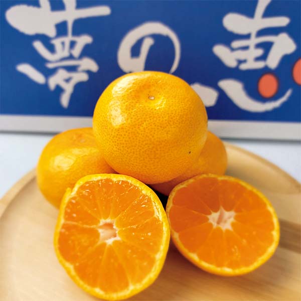 熊本県産 夢未来みかん 夢の恵 S〜Mサイズ 4kg【お届け期間：12月25日〜12月29日】【年末年始ごちそう特集】　商品画像1