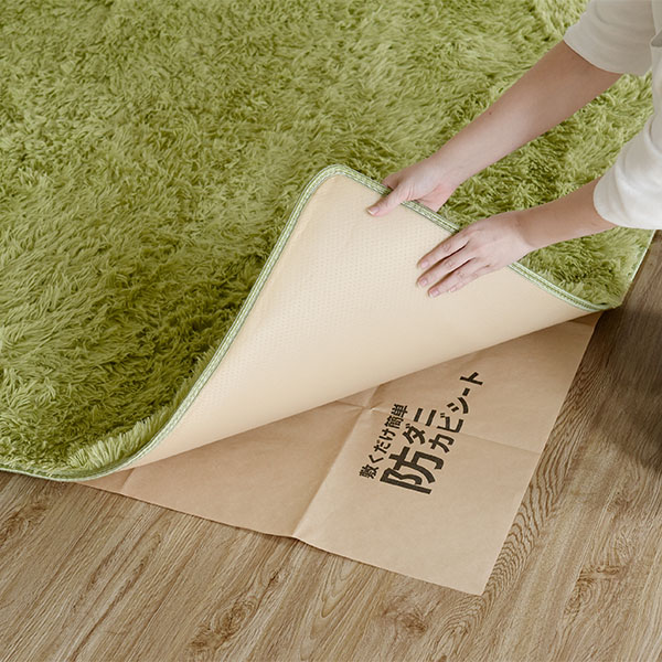 アーネスト 敷くだけ簡単 防ダニ防カビシート3畳用 2枚入り(R8195)【雑貨】 商品画像1