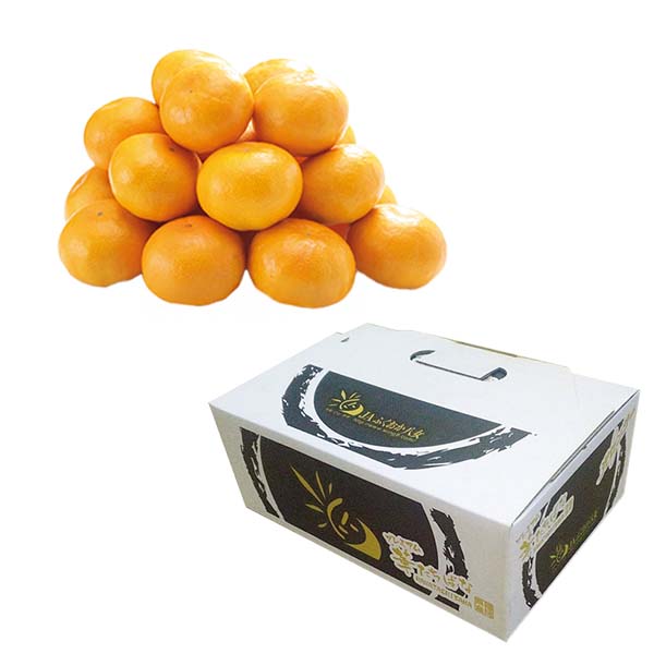 福岡県産 みかん 華たちばな(いしじ)糖度12度以上(お届け期間：11/15〜12/23)【冬の贈りもの・お歳暮】　商品画像1