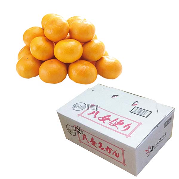 福岡県産 みかん 華たちばな(いしじ)糖度11度以上(お届け期間：11/15〜12/23)【冬の贈りもの・お歳暮】　商品画像1