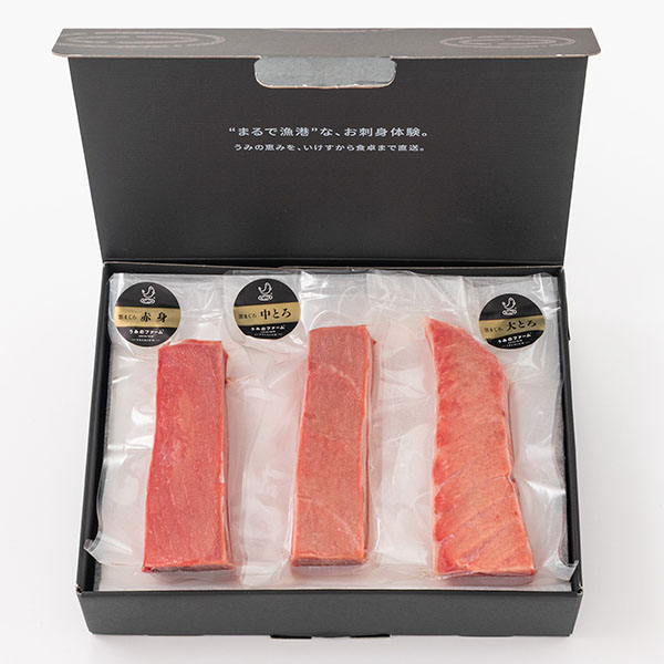 高知県産(養殖) 刺身用本まぐろ 赤身・中トロ・大トロ柵 計600g【お届け期間:12月26日〜12月30日】【年末年始ごちそう特集】 商品画像1