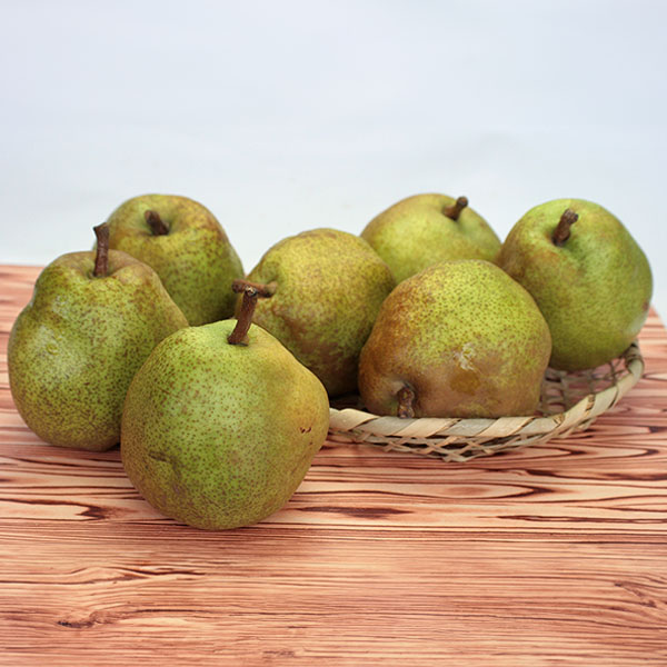 山形県産(ひがし根っこ会) ラ・フランス(お届け期間:11月1日〜12月30日)【おいしいお取り寄せ】 商品画像1