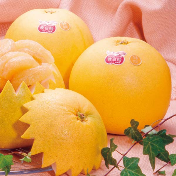 熊本県産 晩白柚・デコポンセット(お届け期間：11/11〜12/30)【冬の贈りもの・お歳暮】　商品画像1