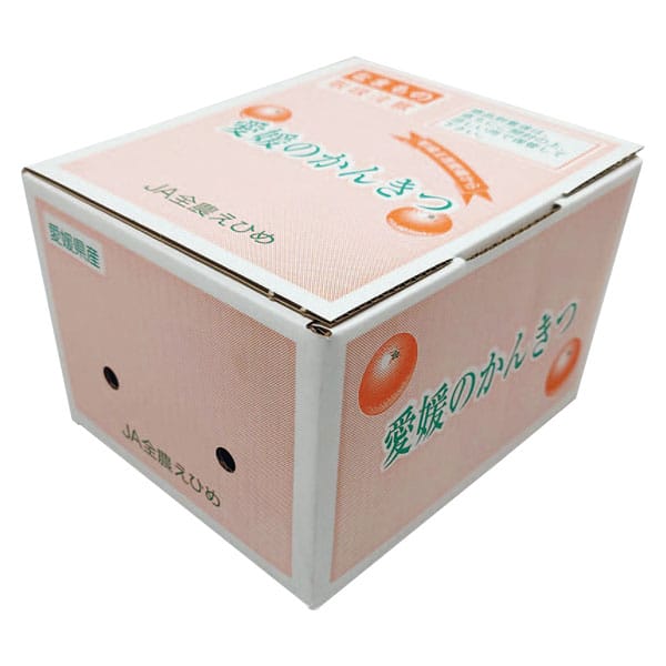 愛媛県産 あいか 計1.5kg以上・4L〜Mサイズ【お届け期間:12月1日〜12月28日】【旬鮮便】【NN】 商品画像1