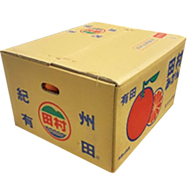 和歌山県産 田村みかん Lサイズ10kg(赤秀)【お届け期間:11月25日〜12月25日】【旬鮮便】【NN】　商品画像1