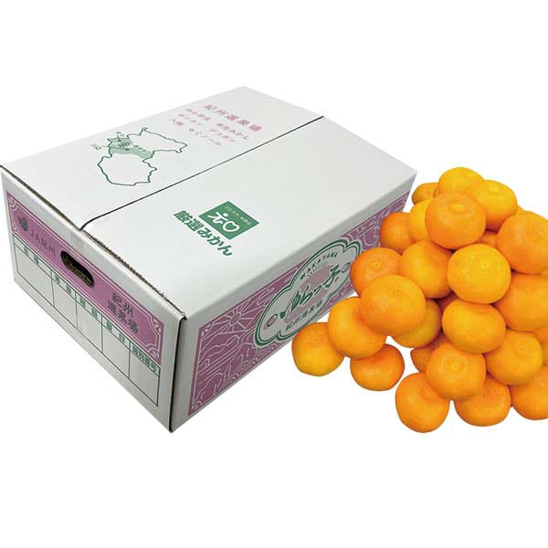 和歌山県産 ゆらっ子みかん Mサイズ5kg(赤秀)【お届け期間:11月25日〜12月25日】【旬鮮便】【NN】　商品画像1