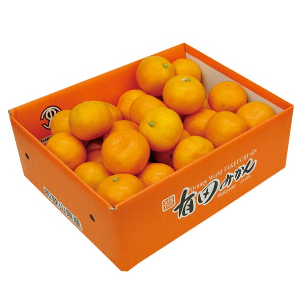 246 こみかんさん専用 みかんの苗木 小みかん【果樹の苗木 4～5号ポット／1個売り