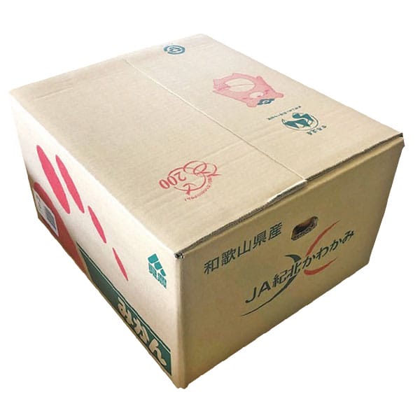 和歌山県産和歌山県農業協同組合 みかん Mサイズ 10kg【お届け期間:11月25日〜12月20日】【旬鮮便】【NN】 商品画像1