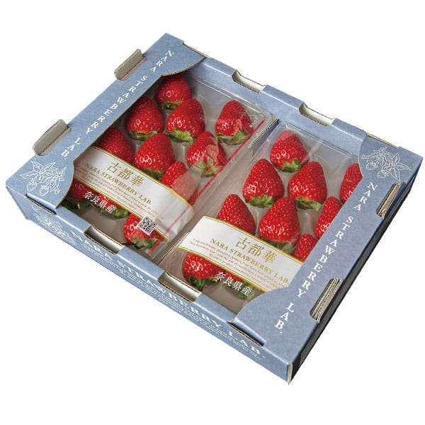 奈良県産 いちご(古都華) 250g以上(12〜15粒) 2パック1箱【お届け期間:2月1日〜3月20日】【旬鮮便】【NN】　商品画像1
