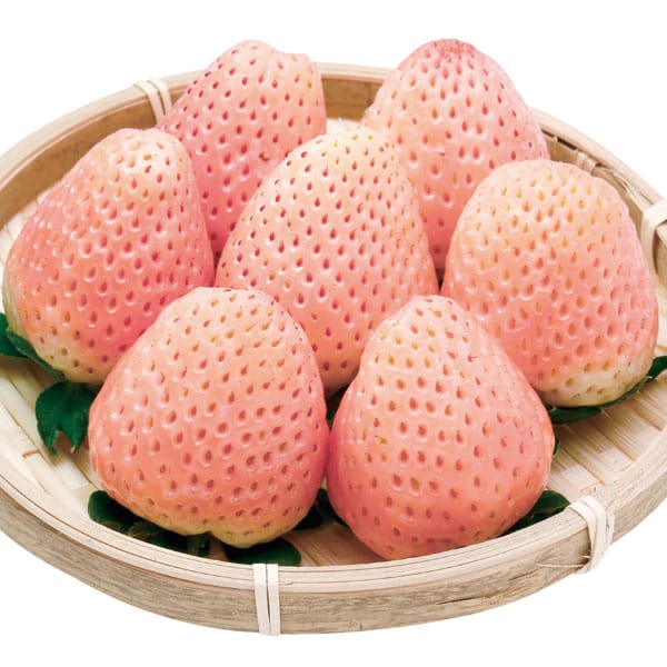 奈良県産 いちご(古都華・淡雪) 250g以上(12〜15粒) 2パック1箱【お届け期間:2月1日〜3月20日】【旬鮮便】【NN】　商品画像1